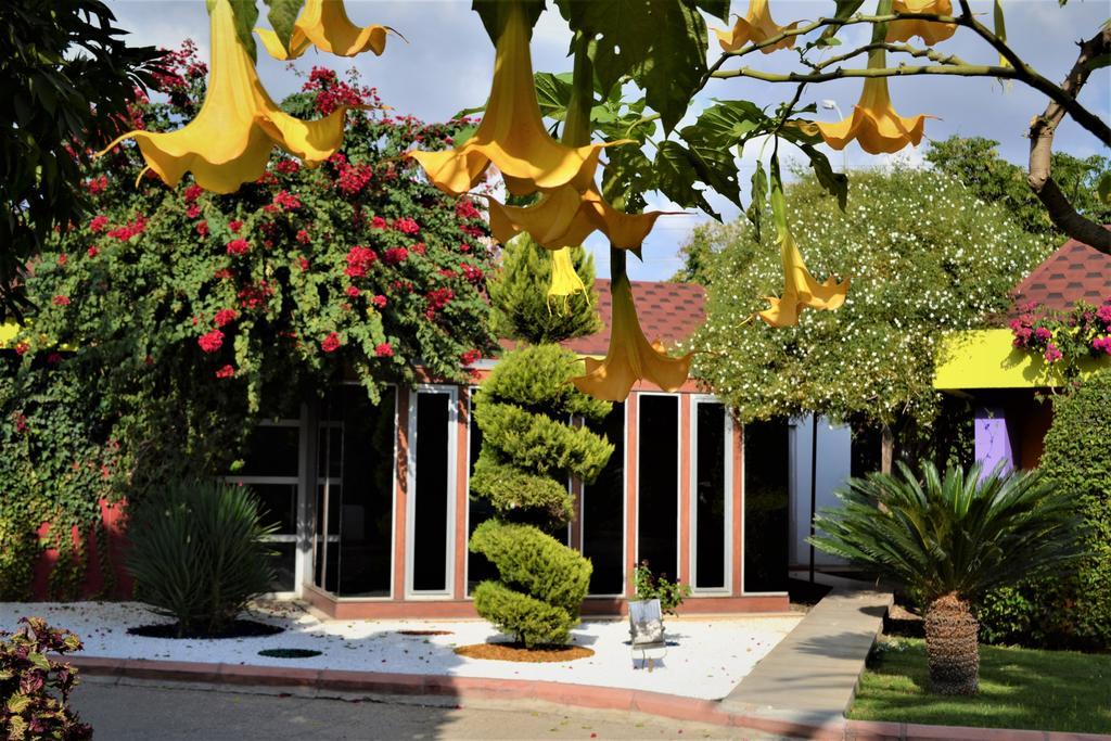 Cetinel Otel 阿达纳 外观 照片